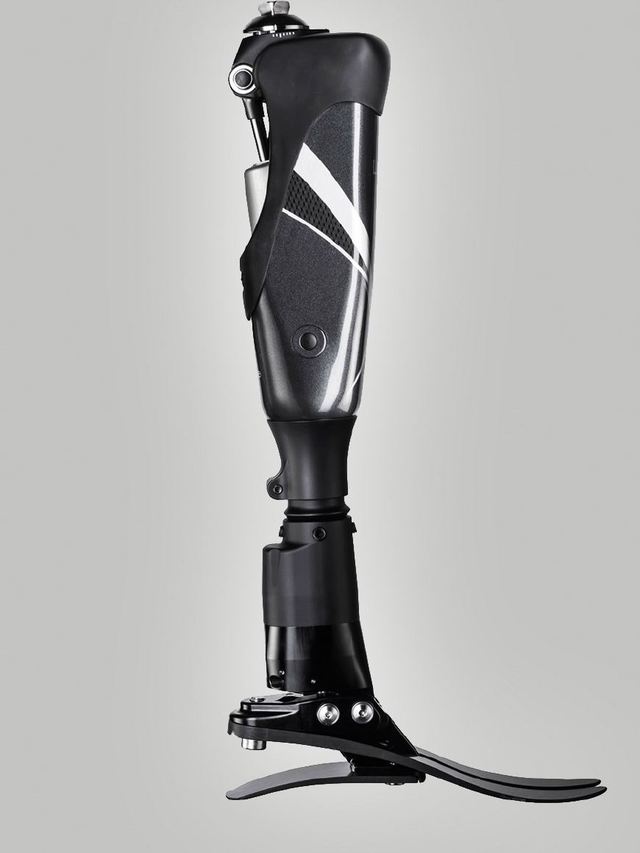 當(dāng)寄居蟹穿上“定制新家” 3D打印假肢與矯形器如何為特殊動物伙伴帶來新生